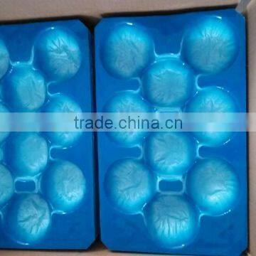 Fresh Produce Packaging Customized Vacuum Forming Disposable Plastic Fruit Cell Tray photo-4