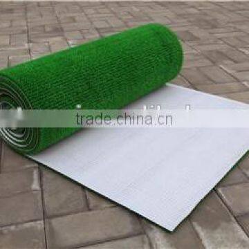 Grass Carpet Endure Hot and Cold Temperature photo-2