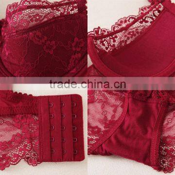 3/4 Cup Nylon & Lace Bra and Panties Set, Different Size & Hollow & Breathable, Floral, More Colors, Sol photo-6