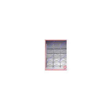 Double width scaffolding with vertical ladder