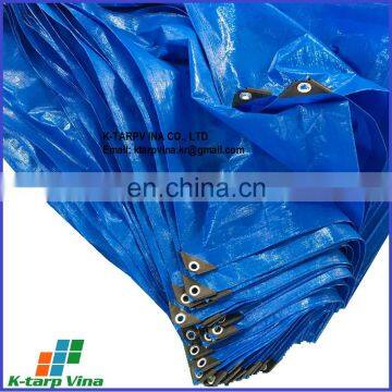 Blue economy and cheap tarpaulin, Blue Sheet, durable, Korea Technology