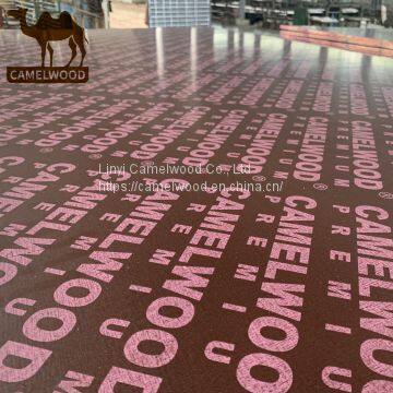 18mm red film faced plywood with poplar finger joint core melamine glue for construction concrete formwork