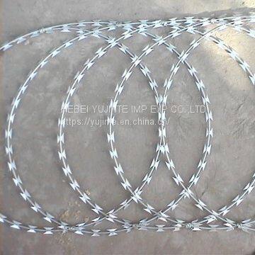 Barbed Wire Galvanized photo-3