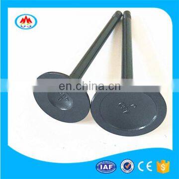 Oem MN163799 MN163286 Engine Valve for Mitsubishi V93W 6G75 photo-5