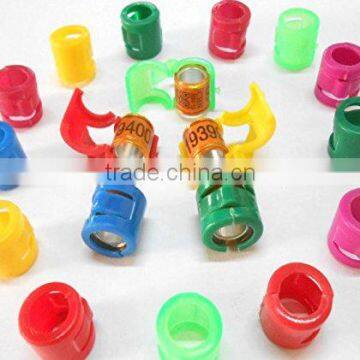 Dutch Netherland Pigeon foot Ring