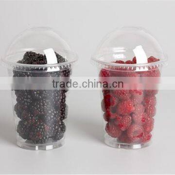 Disposable Food Package Cup, Vegetable Package Cup, Clear Plastic Food Cup,take Away Cold Drinking Cup With Dome Lid photo-5