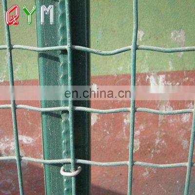 Galvanized and PVC Coated Euro Fence Welded Mesh Rolls