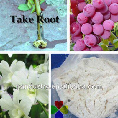 High Effective Agrochemical IAA 99%TC INDOLE ACETIC ACID photo-3