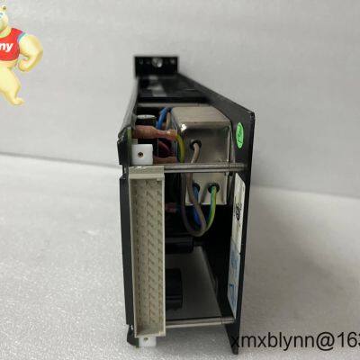 TRICONEX 8310N2: Kritische Prozesse aufrechterhalten, wenn Ausfall keine Option ist photo-2