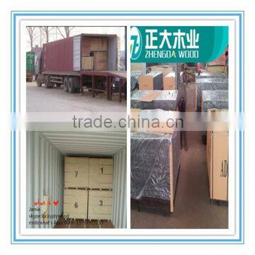 Linyi Best Price Brown Film Faced Plywood One Time Poplar Core Manufacturer photo-4