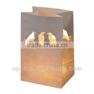 Paper lantern bag for wedding or party!!!
