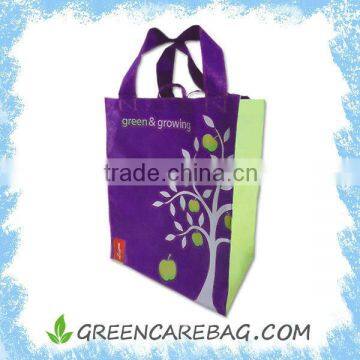 100gsm custom PP Non woven Reusable Bag