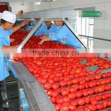 fruit sauce production line