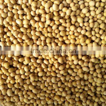 Soybean
