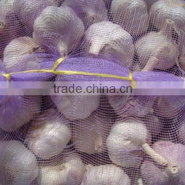 Fresh Garlic photo-4