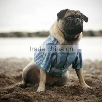 wholesale miss Best Selling pets clothes