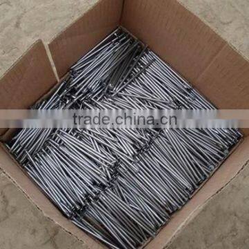 CHINA HOT SALE common nails/common iron nail/common wire nail