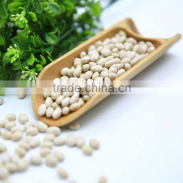 White Kidney Beans (Navy Type) photo-2