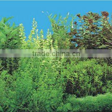 waterproof plastic aquarium background picture J33