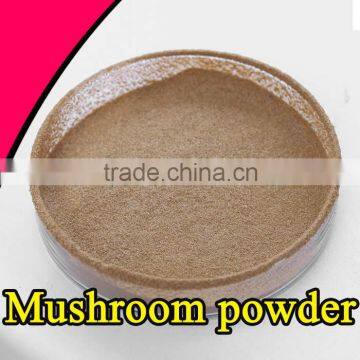 100% Natural High Quality Lentinus Edodes Factory Health Lentinus Edodes photo-2