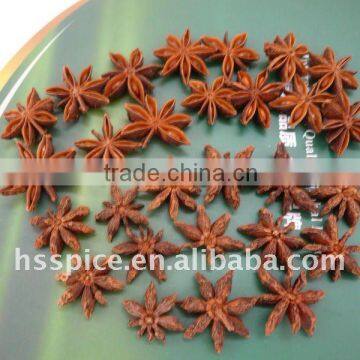 Chinese star aniseed