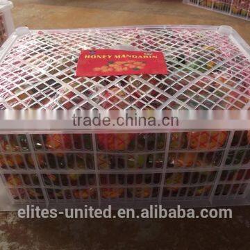 Nanfeng Baby mandarin from China