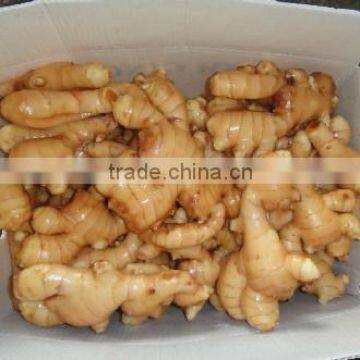 Fresh China Ginger 10kg/box, 9kg/box, 8kg/box