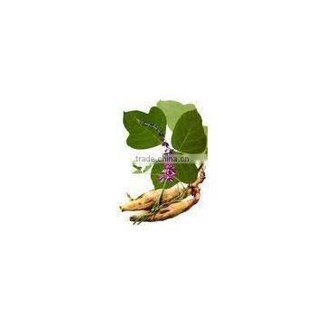 BNP Supply Best Natural Kudzu Root Extract