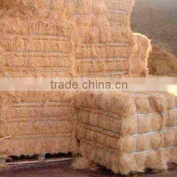 Coconut Coir Fiber Bales for Sales