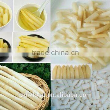 IQF Frozen White Asparagus Section-L:2-4cm