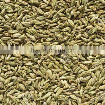 Dehydrated Fennel Seeds