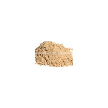 Dry Mango Powder