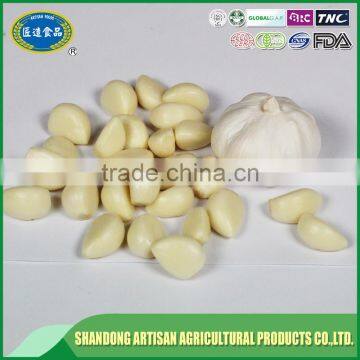 Fresh Peeled Garlic Supplier and Exporter photo-2