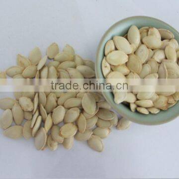 pumkin seeds shine skin quality manufactory for export grade A