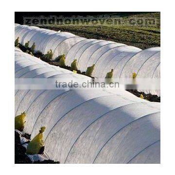 COVERING NON WOVEN ECO FARBIC