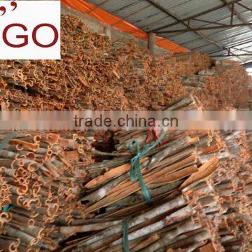 Cinnamon With Competitive Price and Good Price photo-4