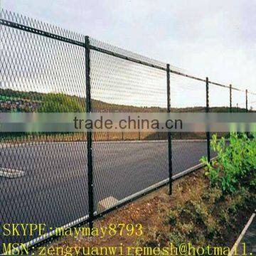 car front expanded mesh/spray paint expanded metal mesh