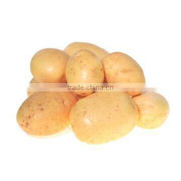 OULENO Potato Cleaning and Peeling Machine Large Roots Fruits and Vegetables Washing Peeling Machine Potato Carrot Cleaning and photo-2