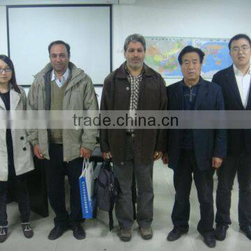Advanced Technology Vertical Crusher/Vertical Combination Crusher of Zhengke