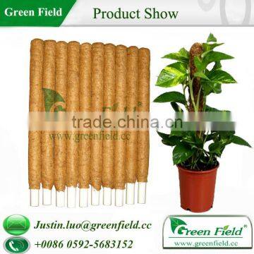 Coco Stake for Climbing Plants