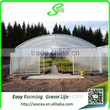 Galvanized steel frame polytunnel greenhouse