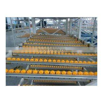Roller Placon Conveyor With Plastic Roller Skatewheel Placon Roller Steel Frame photo-2