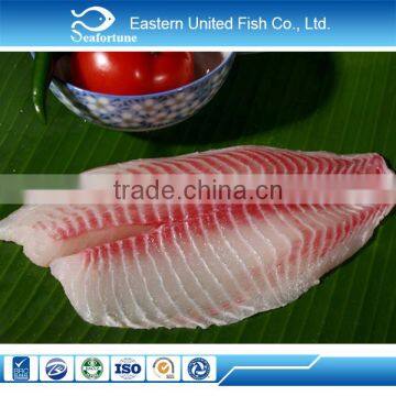 Top Quality and Competitive Price CO Treated Ivp Frozen Tilapia Fillet photo-3