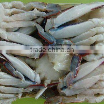 quality best taste frozen green crab