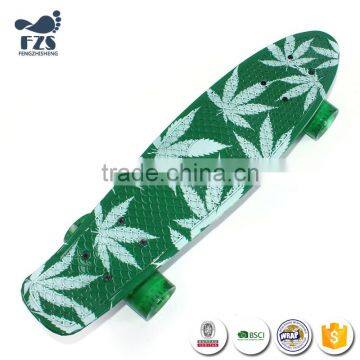 HSJ255 China Factory Customized Skateboard Deck or Logo Plastic Skate Board Fish Board photo-2
