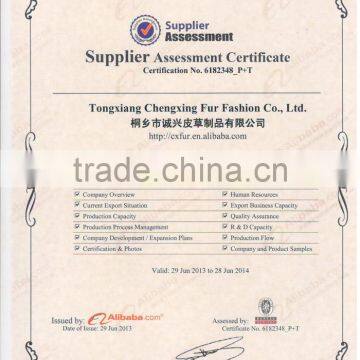 Supplier Assessmen Certificate