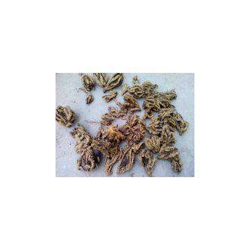 Supply of medicinal materials in western hubei mountain area treasure chicken feet coptis zadeh super series rare traditional Chinese medicinal materials