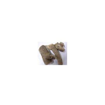 Sell Siberian Ginseng PE