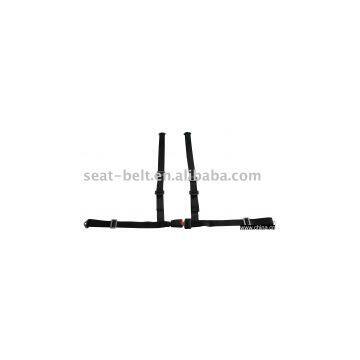 safety belt