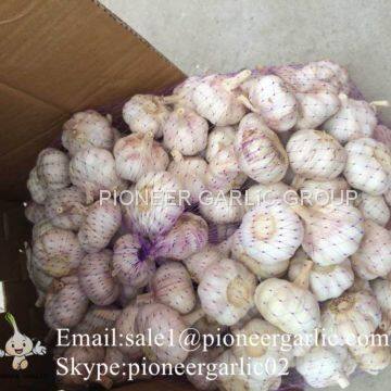 4.5-5cm, 5.5cm-6cm Ajo Blanco Normal Fresco Chino Con Embalaje Cajas de Cartón